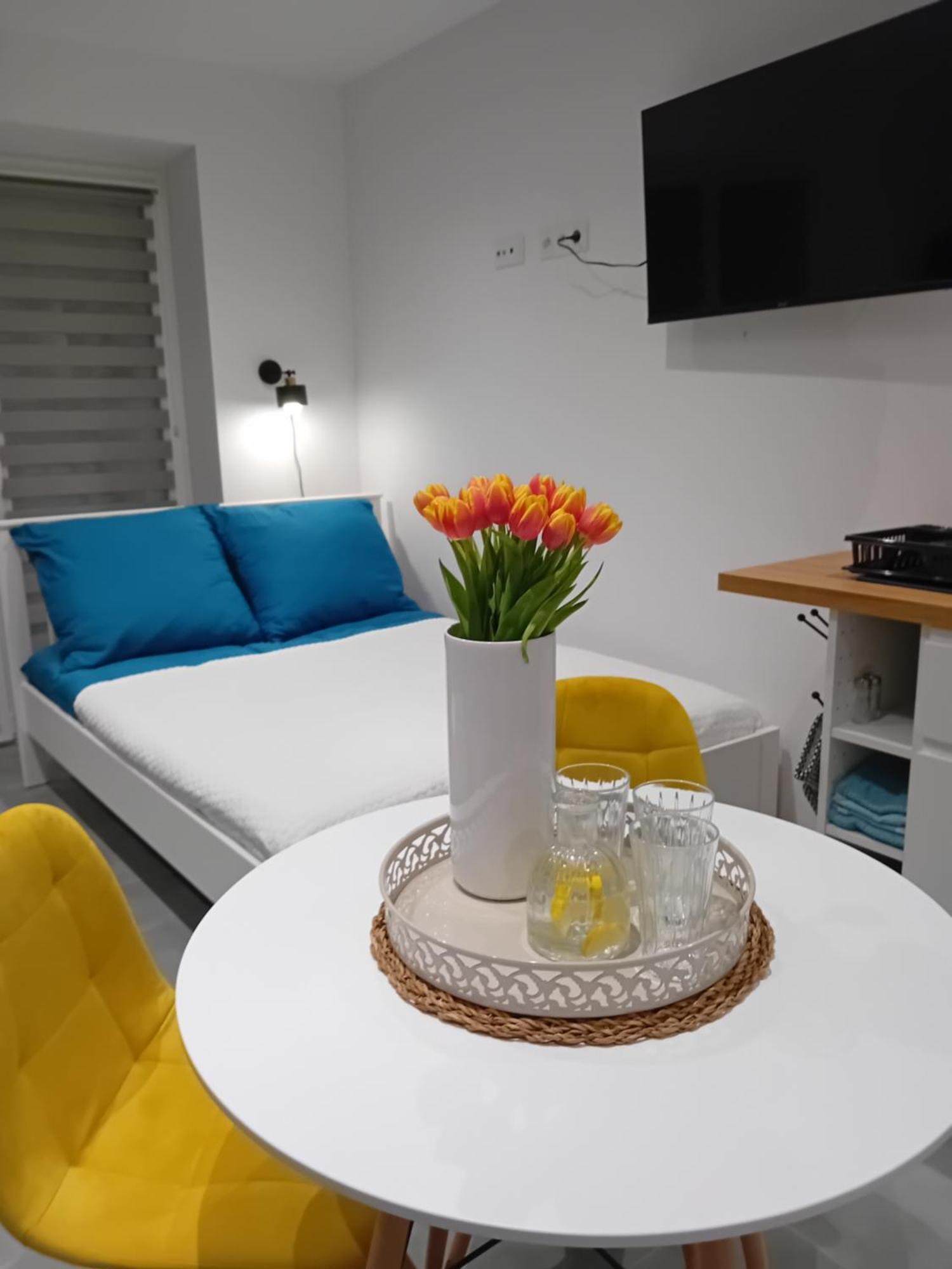 Viva Apartments Oświęcim Extérieur photo