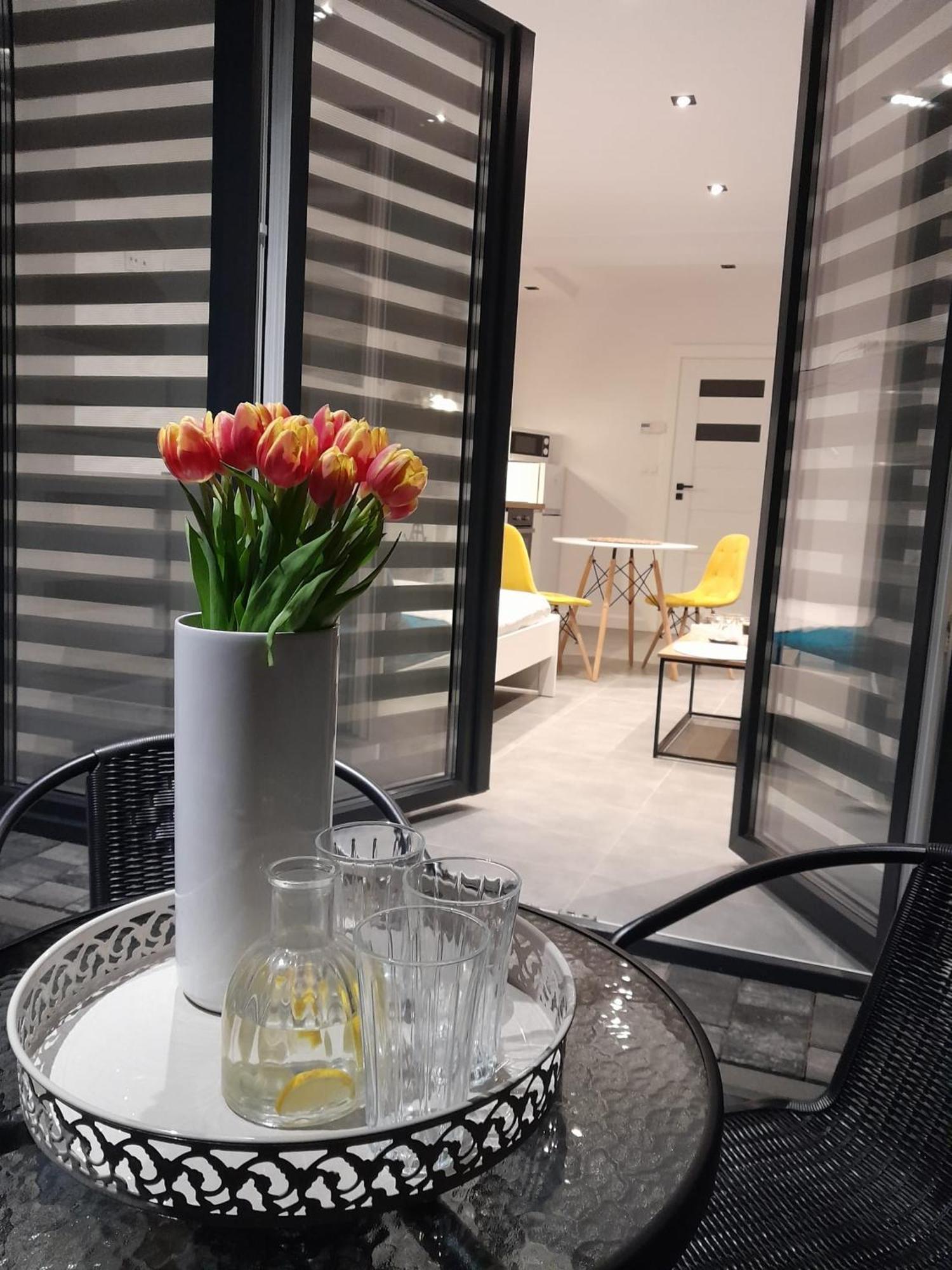 Viva Apartments Oświęcim Extérieur photo